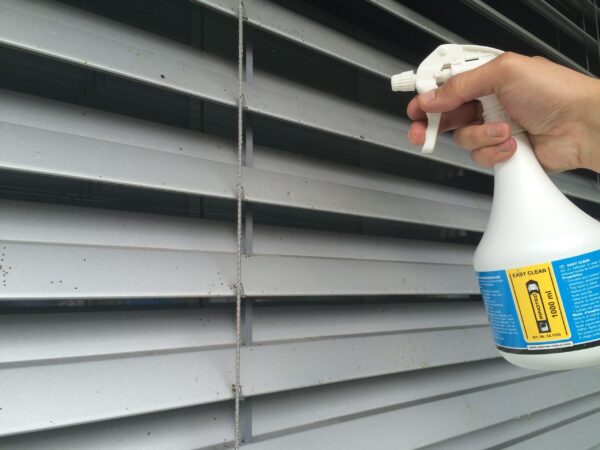 Easy Clean