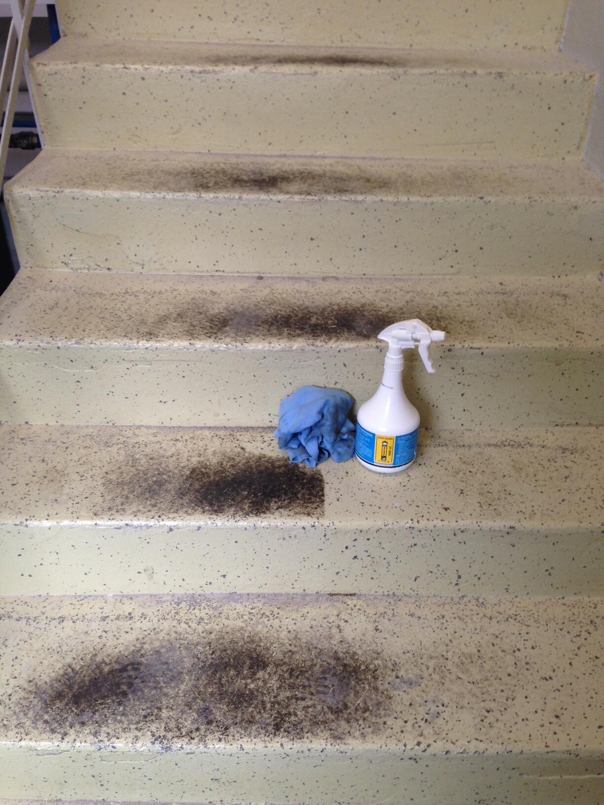 Easy Clean – Bild 3