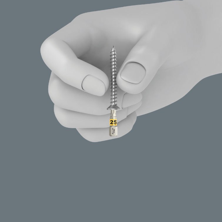 Wera Bit-Check 12 Wood TORX HF, 12-tlg. mit Haltefunktion – Bild 3