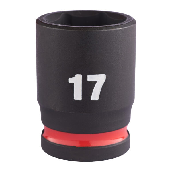 17 x 34 mm
