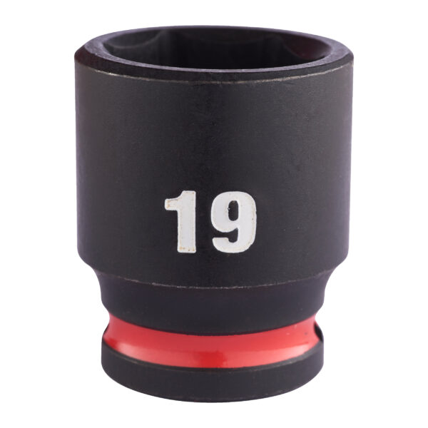 19 x 34 mm