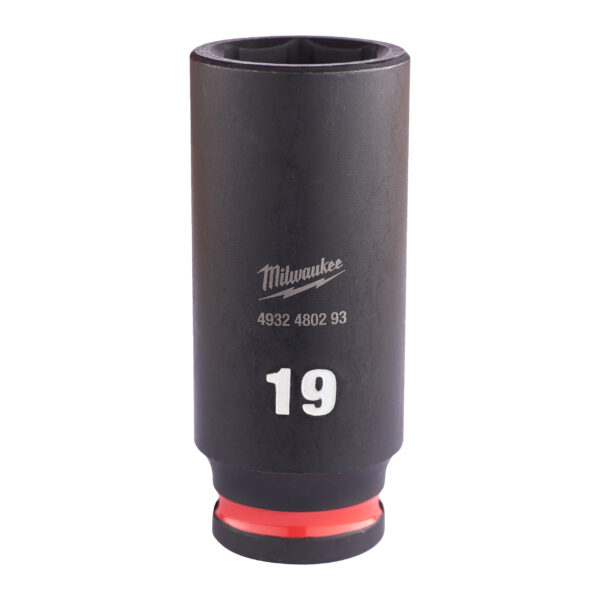 19 x 65 mm