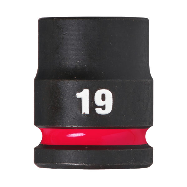 19 x 38 mm