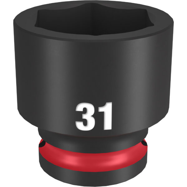 31 x 43 mm